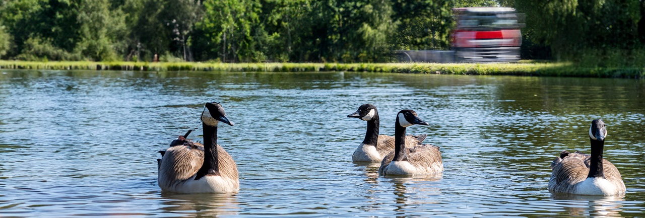 United Nations Sustainable Development Goals - DAF Trucks N.V.